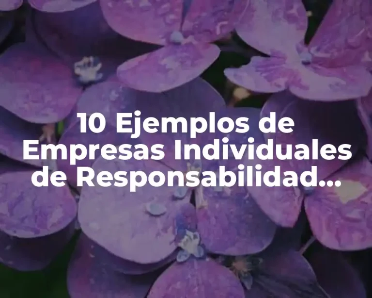 10 Ejemplos de Empresas Individuales de Responsabilidad Limitada en Chile