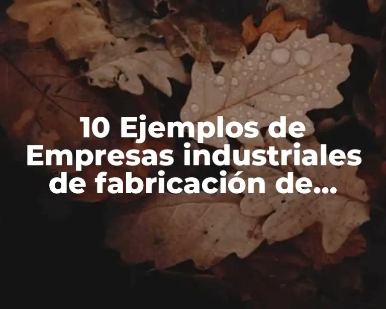 10 Ejemplos de Empresas industriales de fabricación de muebles de madera