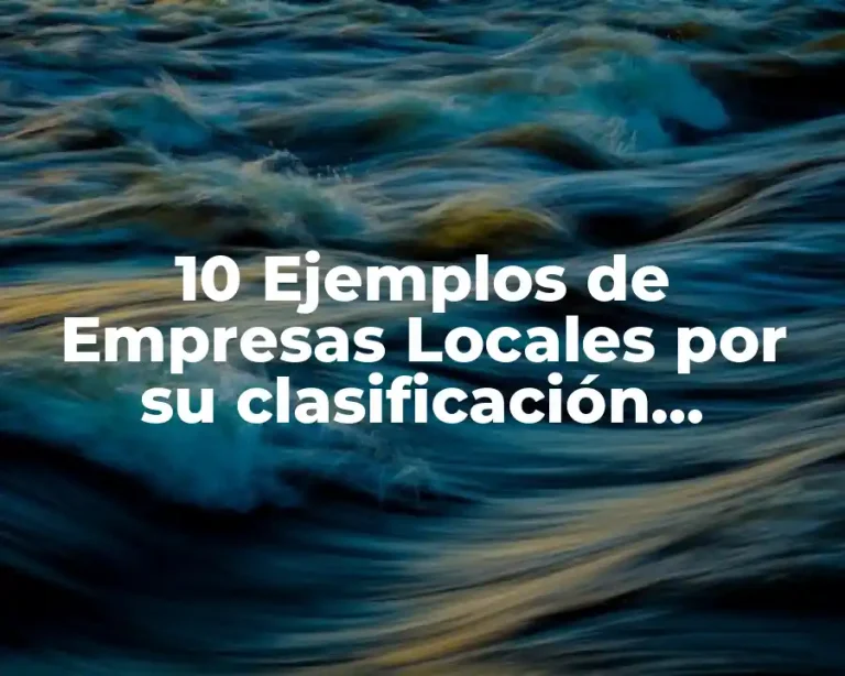 10 Ejemplos de Empresas Locales por su clasificación geografica
