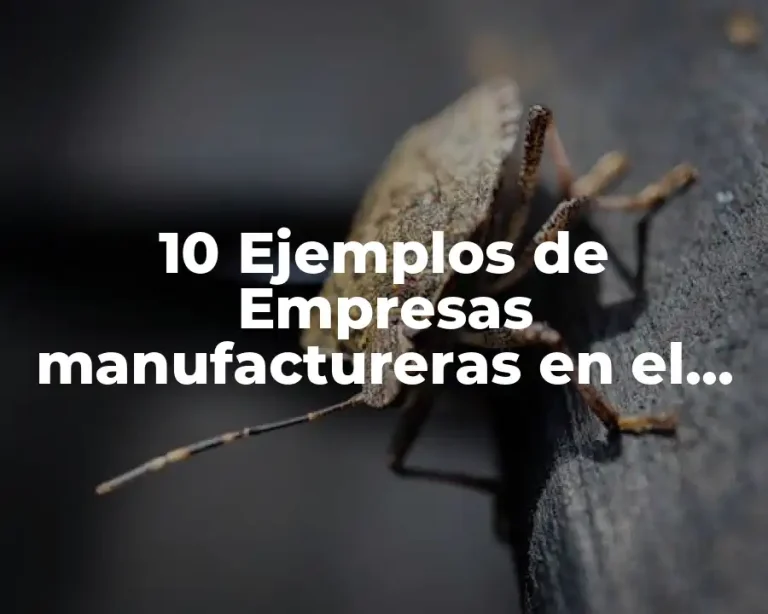 10 Ejemplos de Empresas manufactureras en el Perú