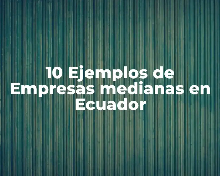 10 Ejemplos de Empresas medianas en Ecuador