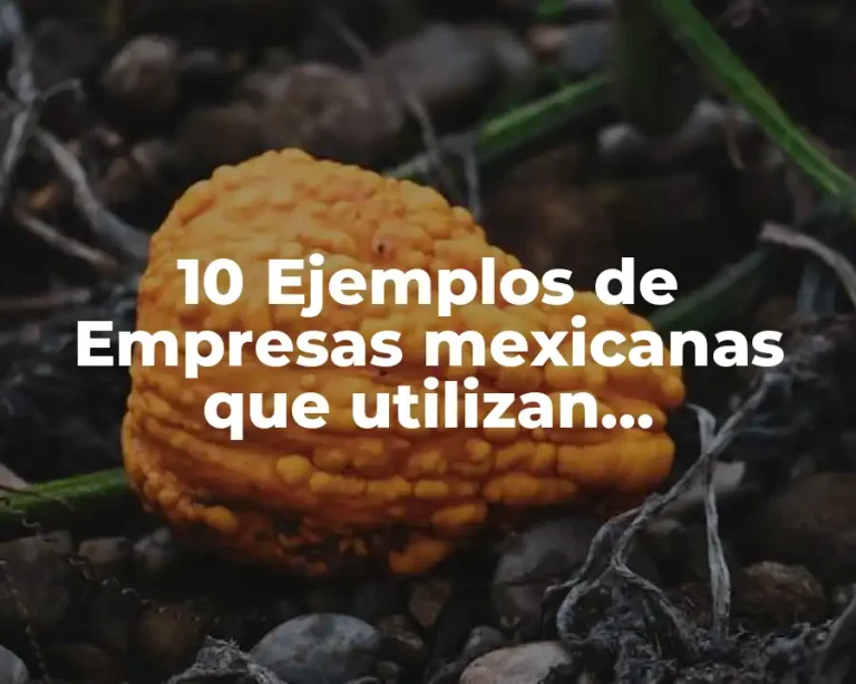 10 Ejemplos de Empresas mexicanas que utilizan instrumentos de inversión