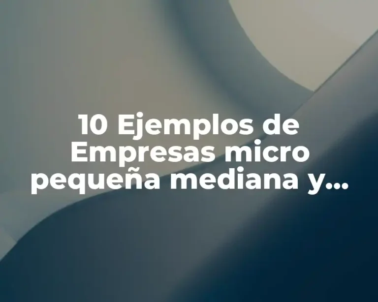 10 Ejemplos de Empresas micro pequeña mediana y grande