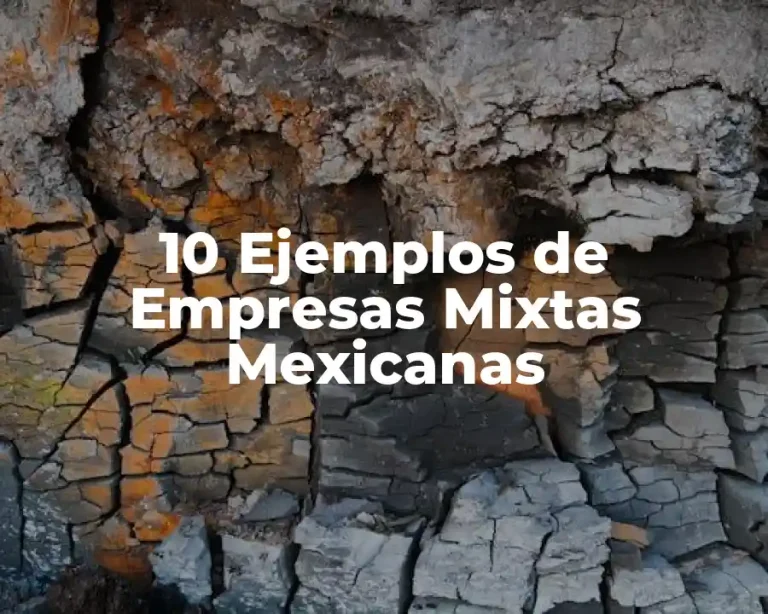 10 Ejemplos de Empresas Mixtas Mexicanas