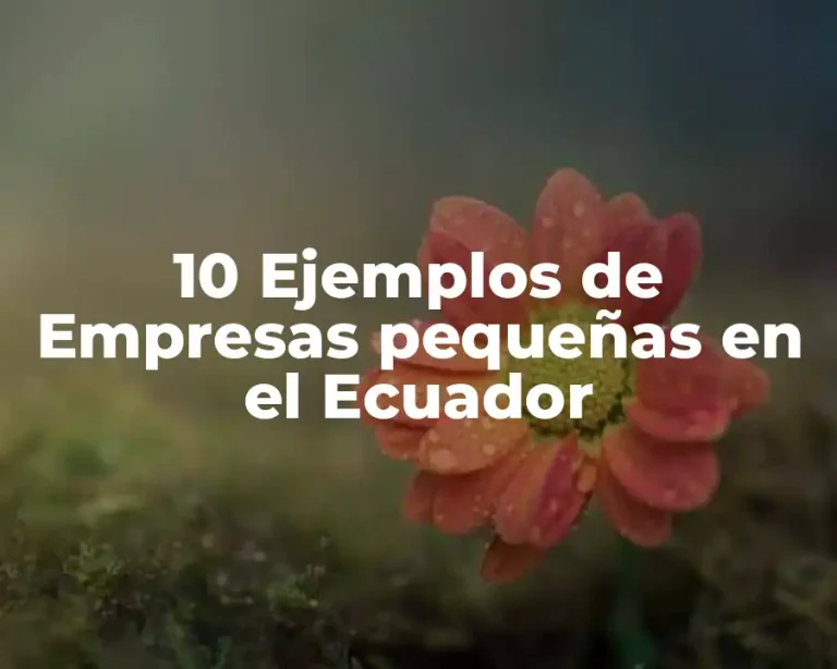 10 Ejemplos de Empresas pequeñas en el Ecuador
