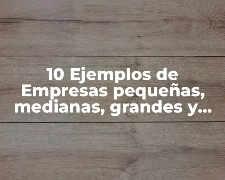 10 Ejemplos de Empresas pequeñas, medianas, grandes y nacidas