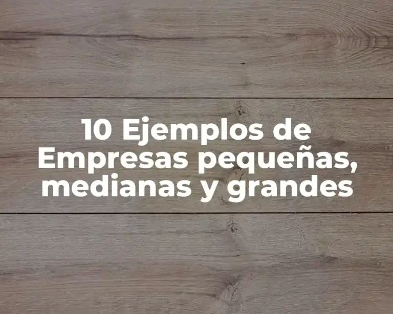 10 Ejemplos de Empresas pequeñas, medianas y grandes