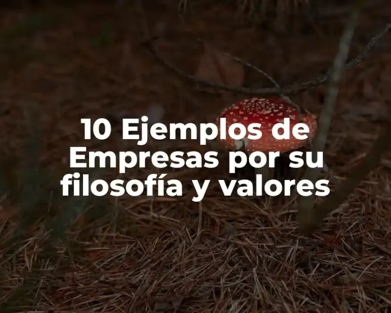 10 Ejemplos de Empresas por su filosofía y valores