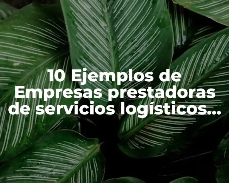 10 Ejemplos de Empresas prestadoras de servicios logísticos internacionales