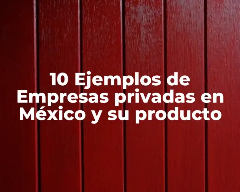 10 Ejemplos de Empresas privadas en México y su producto