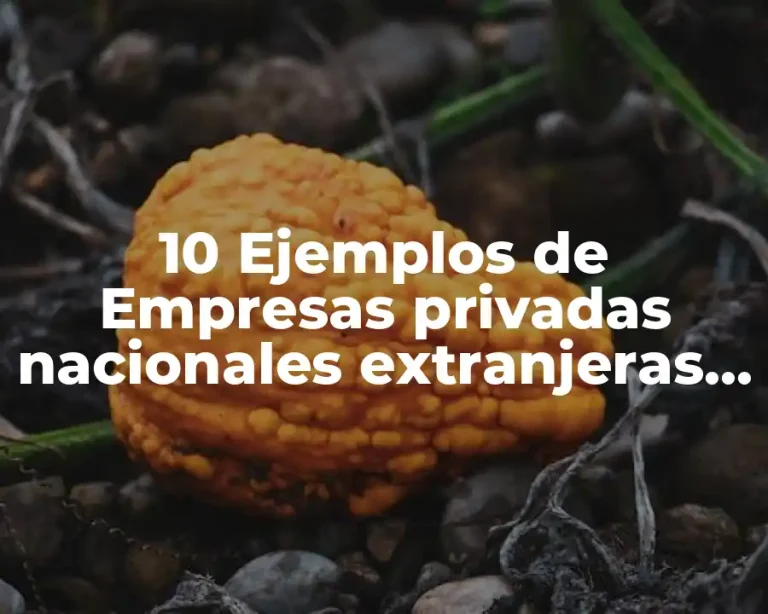 10 Ejemplos de Empresas privadas nacionales extranjeras y transnacionales