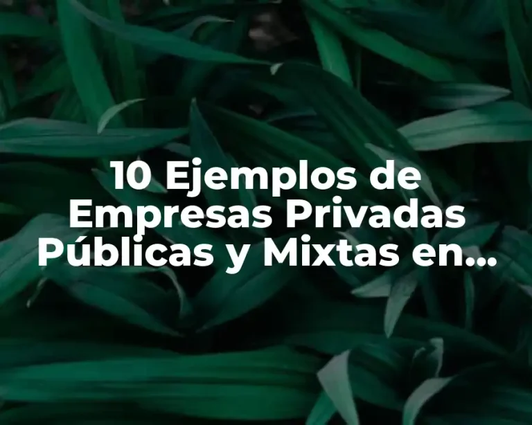10 Ejemplos de Empresas Privadas Públicas y Mixtas en Colombia