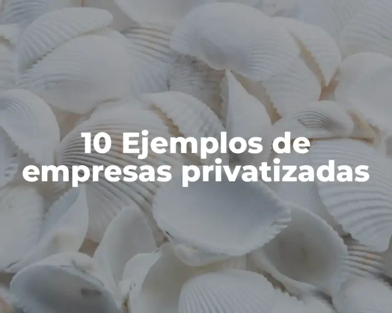 10 Ejemplos de empresas privatizadas