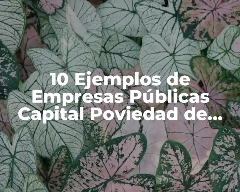 10 Ejemplos de Empresas Públicas Capital Poviedad de Estado