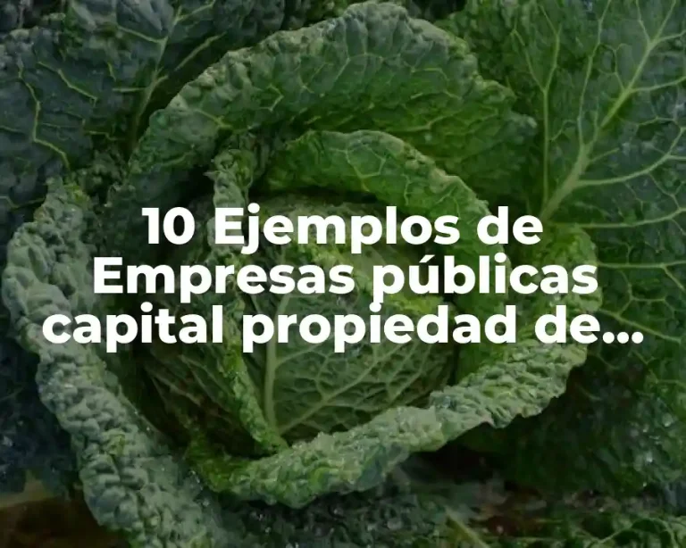 10 Ejemplos de Empresas públicas capital propiedad de estado