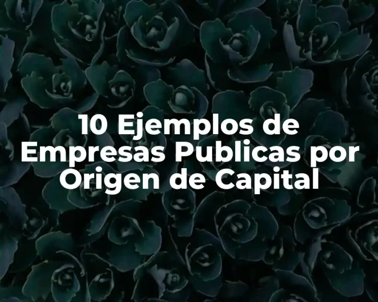 10 Ejemplos de Empresas Publicas por Origen de Capital