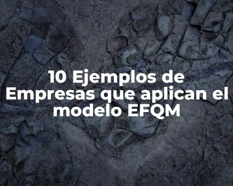 10 Ejemplos de Empresas que aplican el modelo EFQM