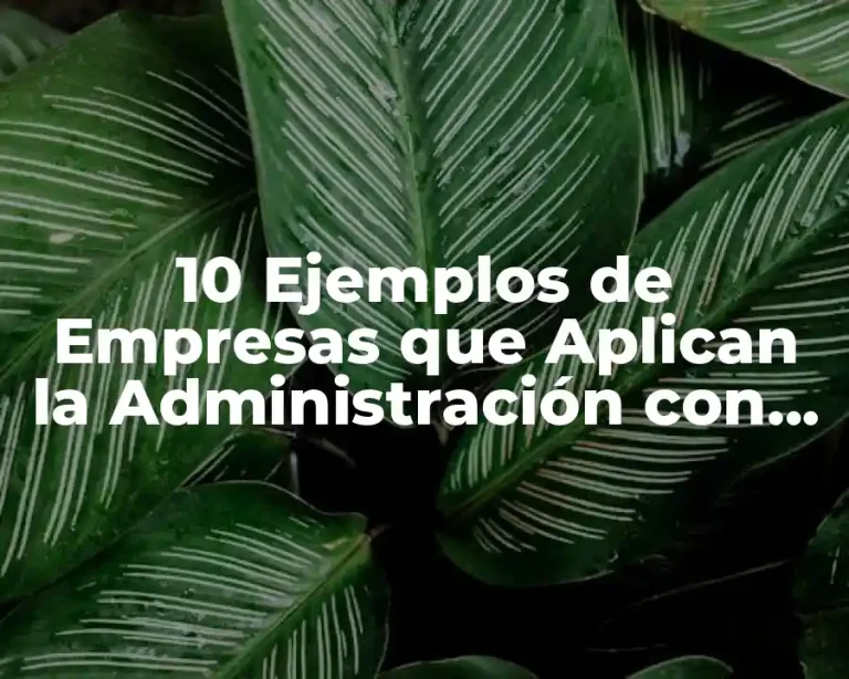 10 Ejemplos de Empresas que Aplican la Administración con Otras Ciencias