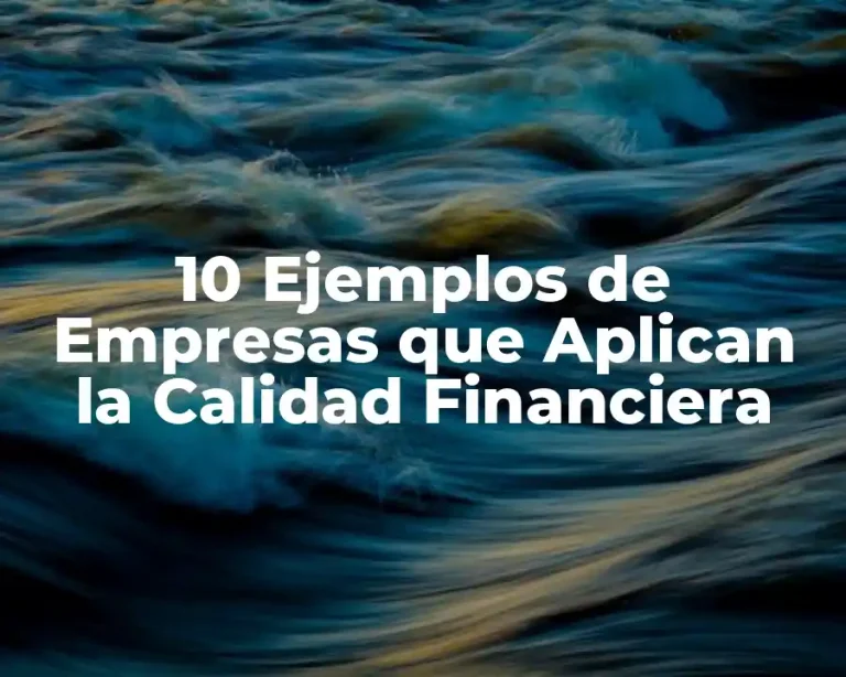 10 Ejemplos de Empresas que Aplican la Calidad Financiera