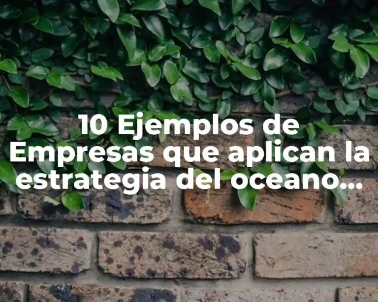 10 Ejemplos de Empresas que aplican la estrategia del oceano azul