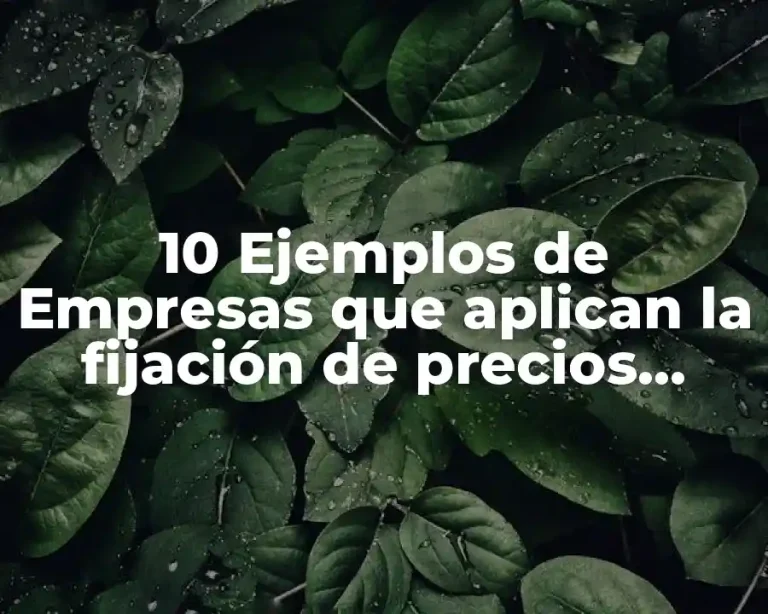 10 Ejemplos de Empresas que aplican la fijación de precios geográfica