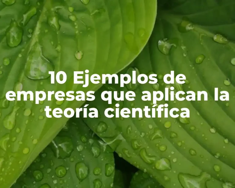 10 Ejemplos de empresas que aplican la teoría científica