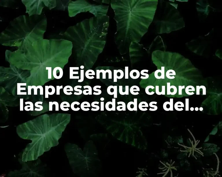 10 Ejemplos de Empresas que cubren las necesidades del cliente