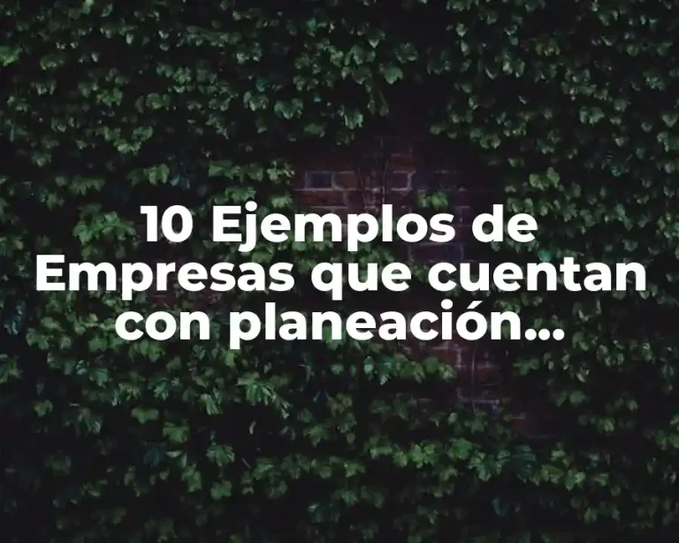 10 Ejemplos de Empresas que cuentan con planeación, organización y control
