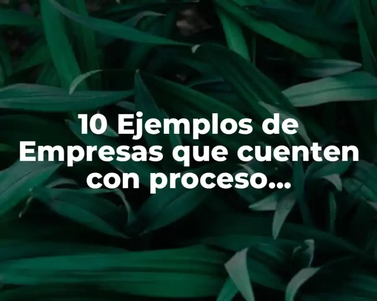10 Ejemplos de Empresas que cuenten con proceso administrativo