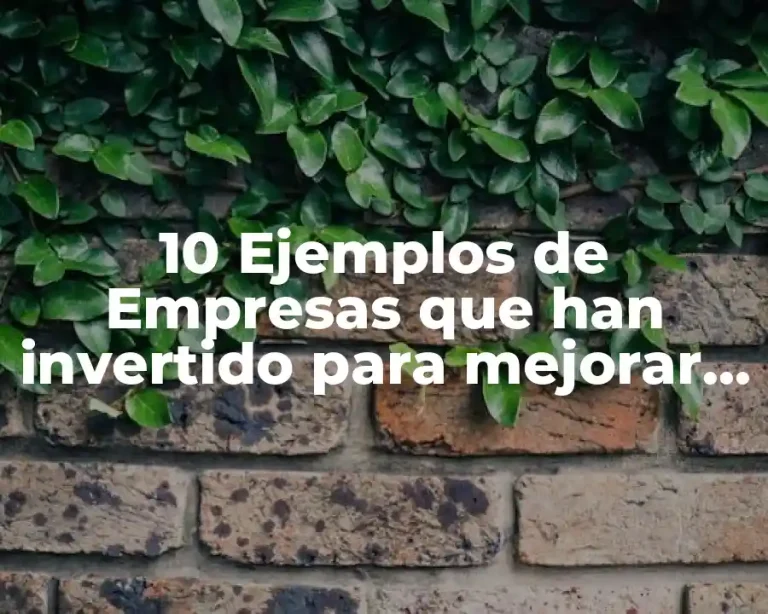 10 Ejemplos de Empresas que han invertido para mejorar la productividad