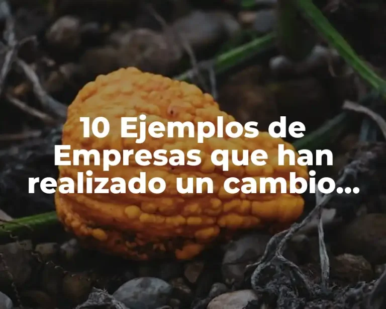 10 Ejemplos de Empresas que han realizado un cambio organizacional