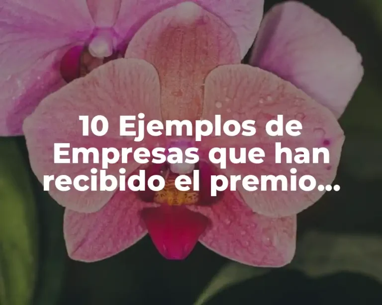 10 Ejemplos de Empresas que han recibido el premio Malcolm Baldrige