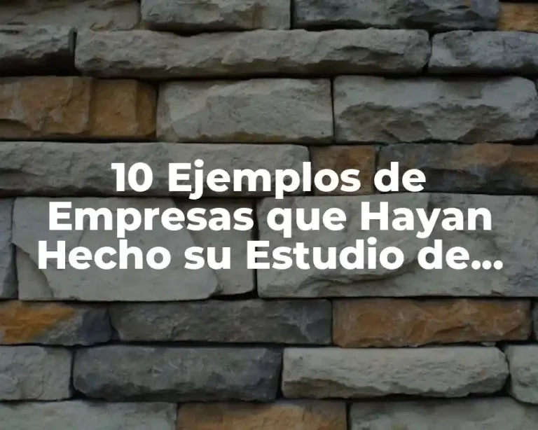 10 Ejemplos de Empresas que Hayan Hecho su Estudio de Mercado