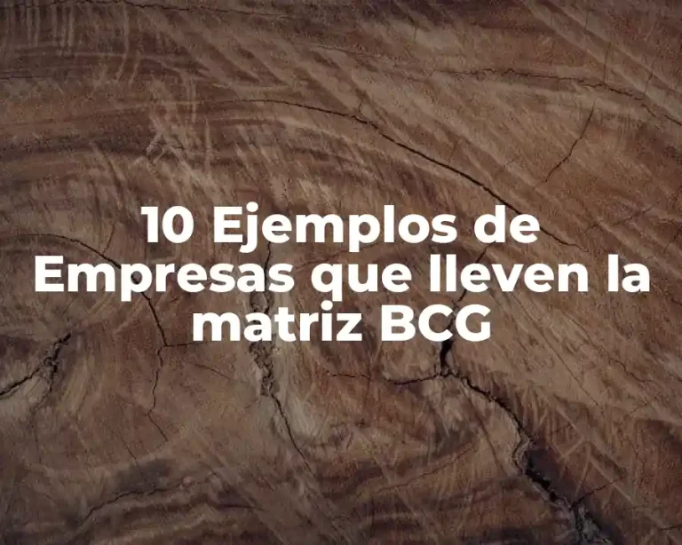 10 Ejemplos de Empresas que lleven la matriz BCG