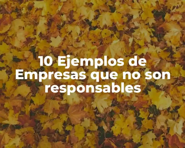 10 Ejemplos de Empresas que no son responsables