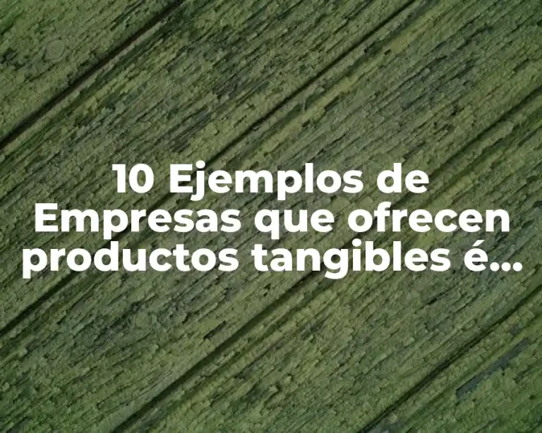 10 Ejemplos de Empresas que ofrecen productos tangibles é intangibles