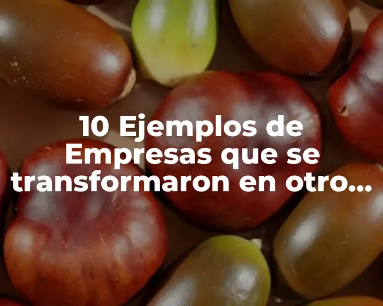 10 Ejemplos de Empresas que se transformaron en otro régimen