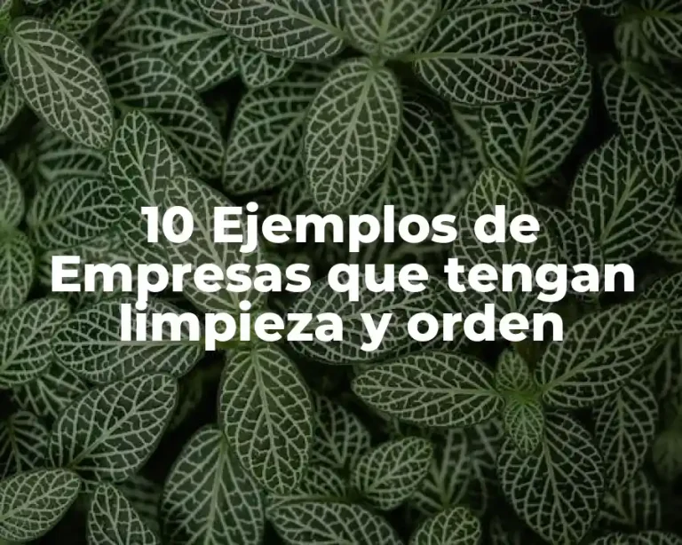 10 Ejemplos de Empresas que tengan limpieza y orden