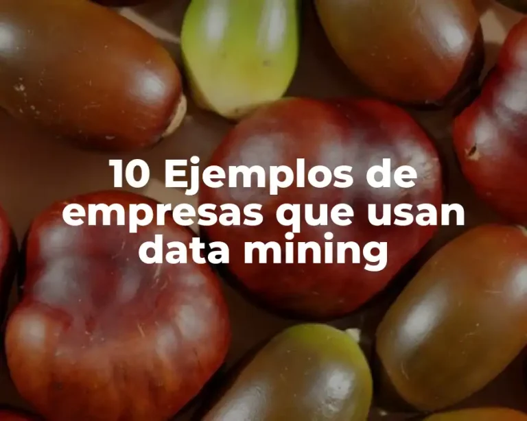 10 Ejemplos de empresas que usan data mining