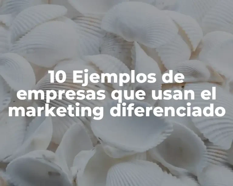 10 Ejemplos de empresas que usan el marketing diferenciado