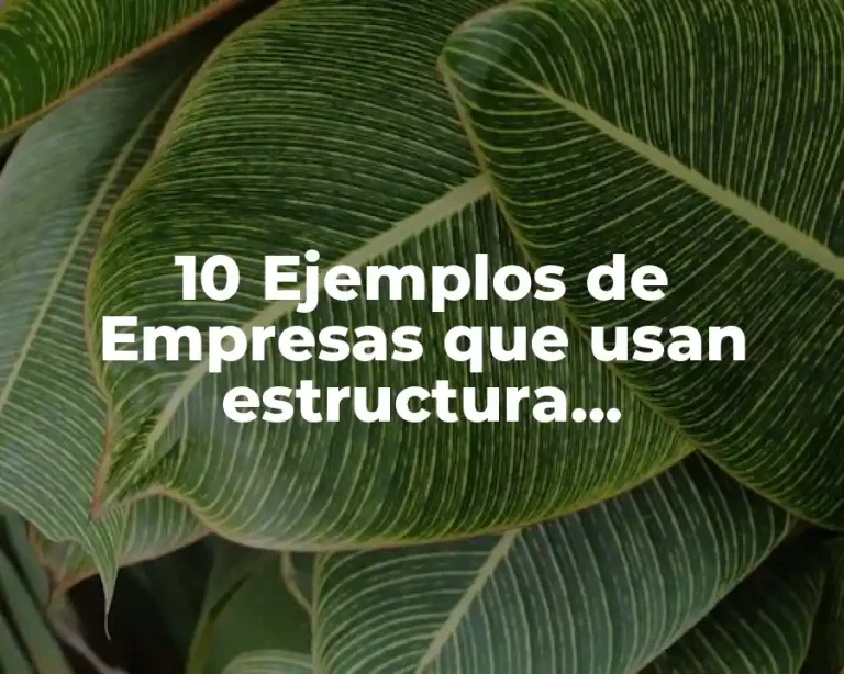 10 Ejemplos de Empresas que usan estructura organizacional central