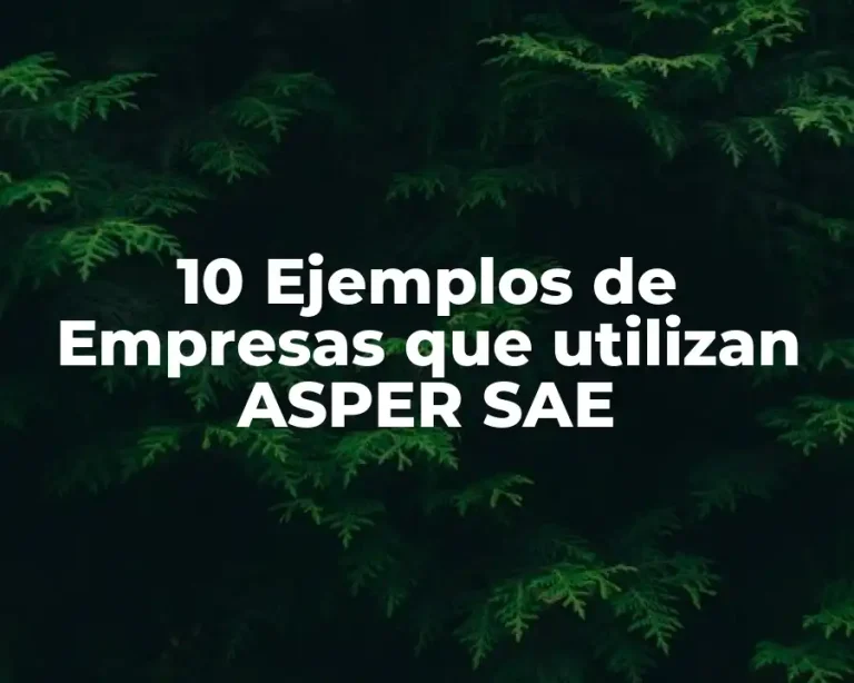 10 Ejemplos de Empresas que utilizan ASPER SAE