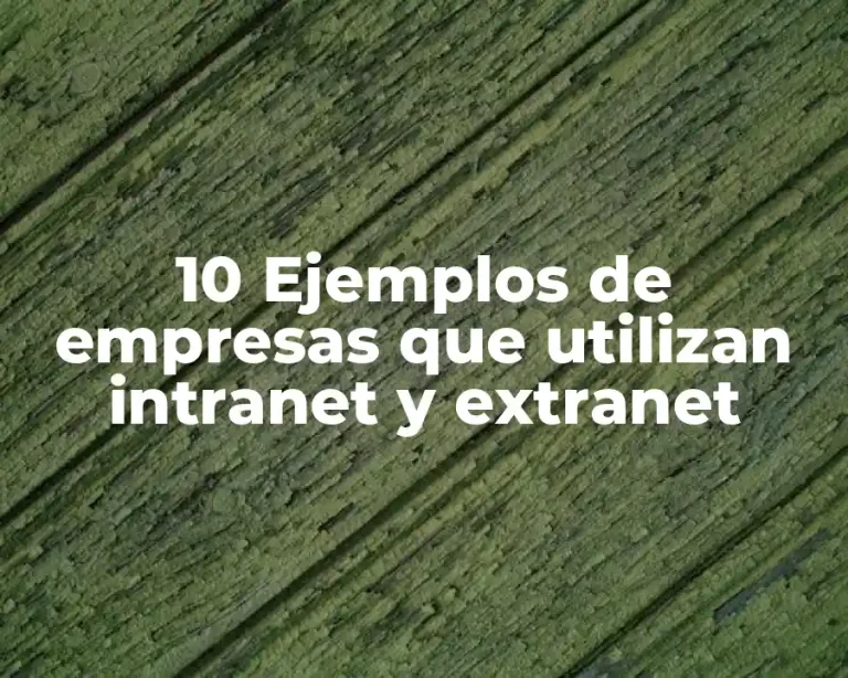 10 Ejemplos de empresas que utilizan intranet y extranet