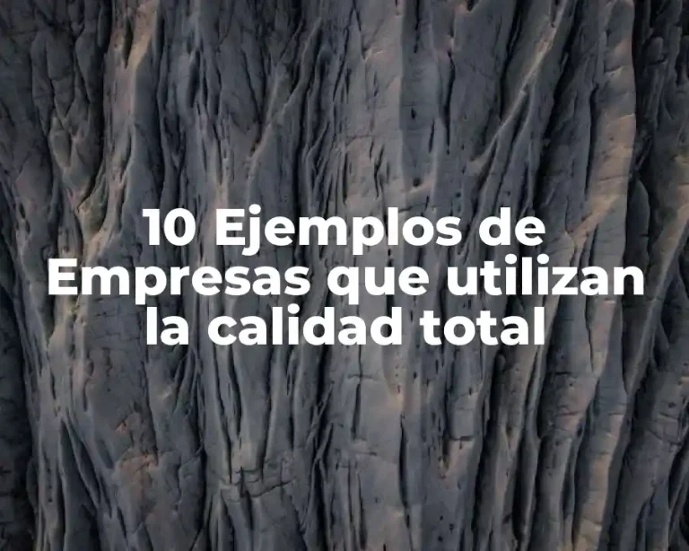 10 Ejemplos de Empresas que utilizan la calidad total