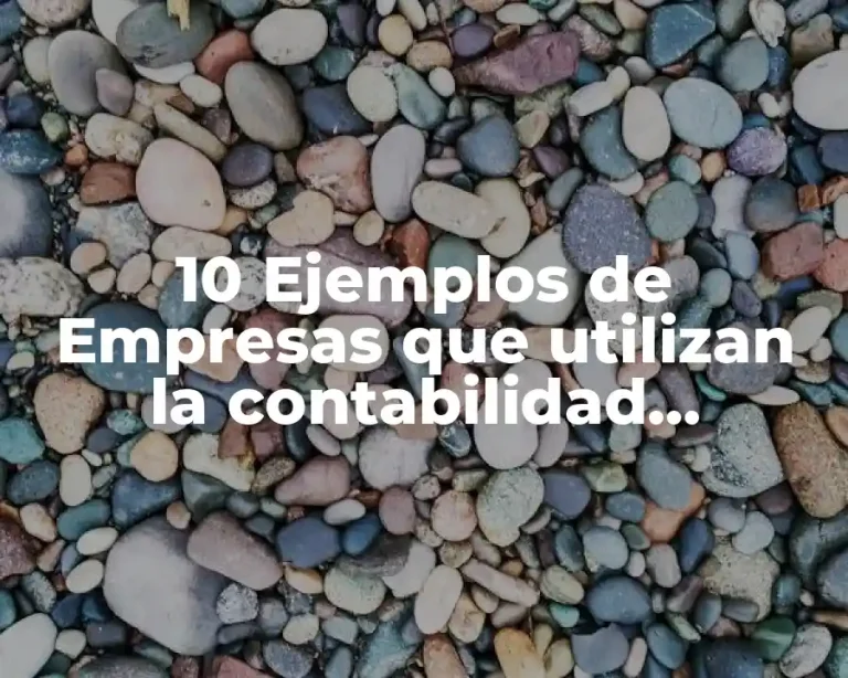 10 Ejemplos de Empresas que utilizan la contabilidad administrativa