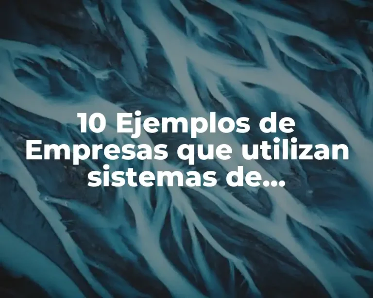 10 Ejemplos de Empresas que utilizan sistemas de información automatizados