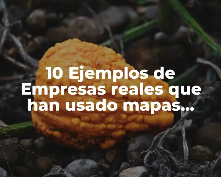 10 Ejemplos de Empresas reales que han usado mapas estrategicos