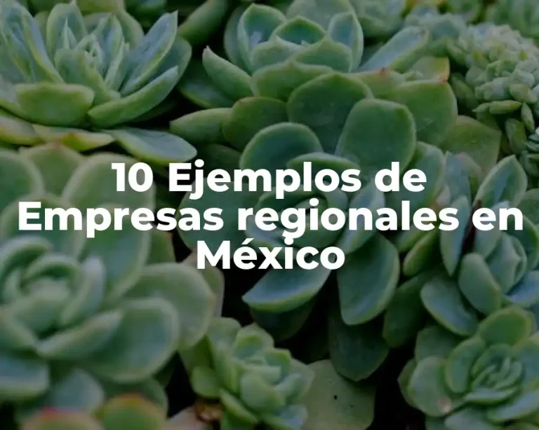 10 Ejemplos de Empresas regionales en México