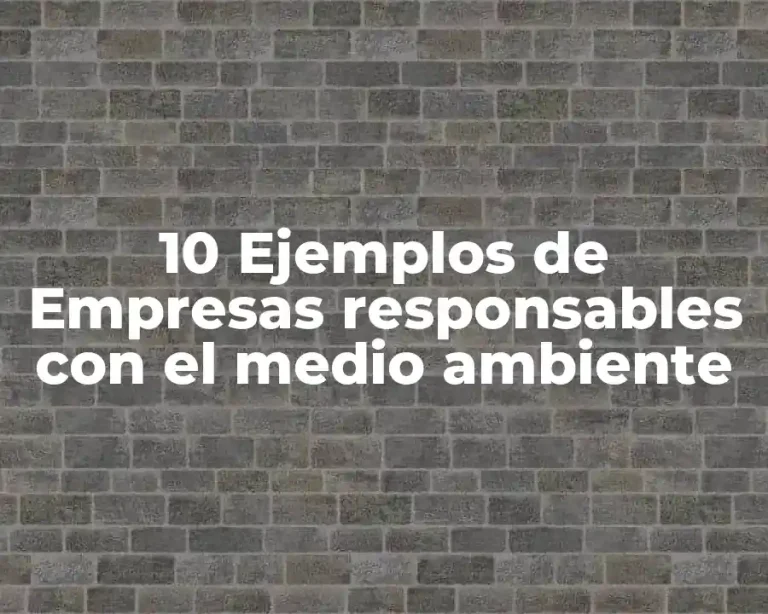 10 Ejemplos de Empresas responsables con el medio ambiente