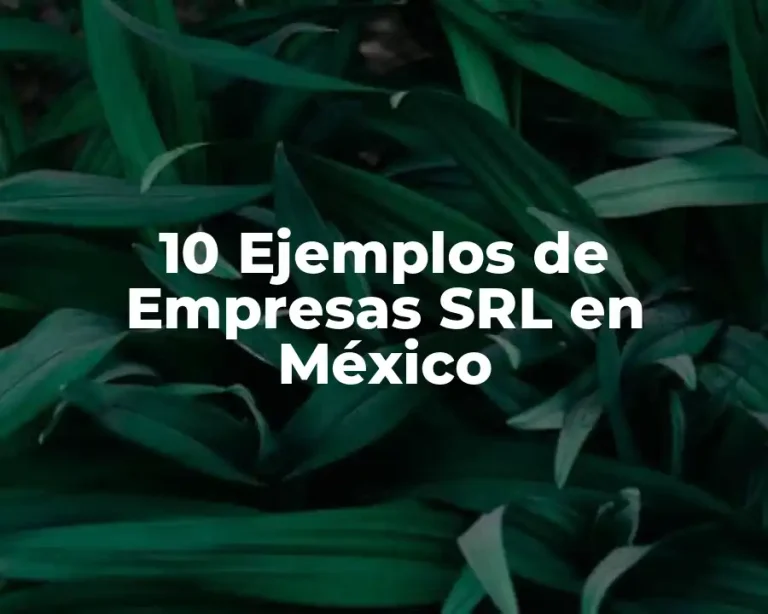 10 Ejemplos de Empresas SRL en México